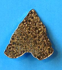 1998 NOAC Participation Pin