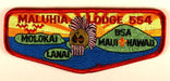 Lodge 554 Flap S-16