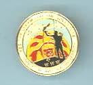 1996 NOAC Pin