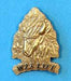 2009 Section W2S Conclave Pin